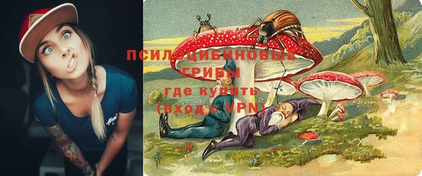 мет Абаза